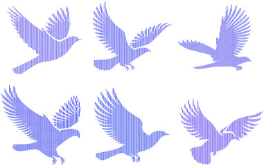 Obraz premium Silhouette of a flock of birds.