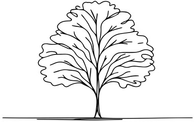 one line drawing of nature tree vector illustration. One line tree drawing. Sketch, silhouette of a tree. doodle nature tree vector art. Nat, silhouette isolated on white