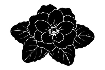 violet flower vector silhouette illustration