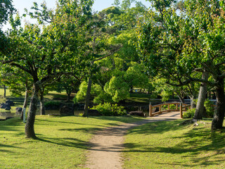 【奈良公園】春の三社託宣池周囲の風景