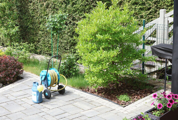 Watering hose on reel, watering can in backyard in spring. Hedges, lawn and shrubs, stone tile...
