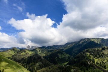 colorful beautiful mountain landscape, blue sky, green grass and trees, Almaty, Medeu, Kazakhstan, Alatau