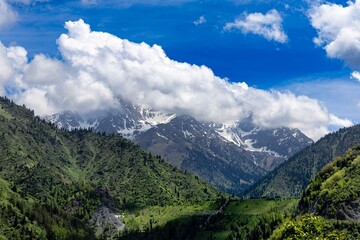 Fototapeta premium colorful beautiful mountain landscape, blue sky, green grass and trees, Almaty, Medeu, Kazakhstan, Alatau