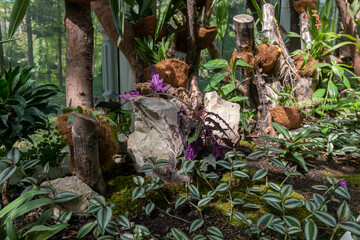 Various plants in Belgrade Botanical Garden