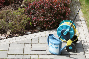 Blue and yellow watering hose on reel, watering can in backyard in spring. Hedges, lawn and shrubs,...