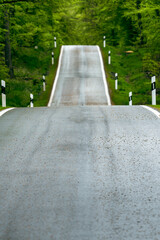 View of the road going up and down the hill through the green forest