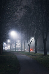 Obraz premium Dark walkway in a foggy night