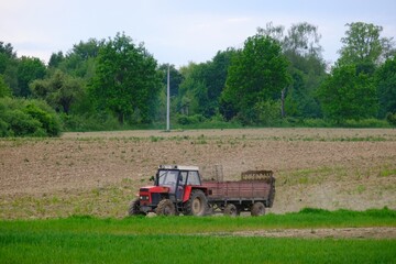 Fototapeta premium A red tractor with a trailer drives through a plowed field