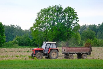 Naklejka premium A red tractor with a trailer drives through a plowed field