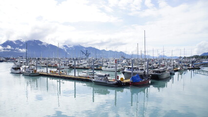 Fototapeta premium many boats are docked and one boat is gray and white