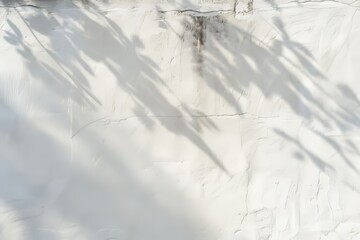 Abstract shadow on the white wall 