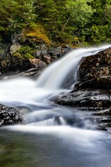 Fototapeta premium Picturesque Swedish river surrounded by dense evergreen foliage.