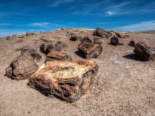 Arizona Petrified Forest and the eroding badlands of the Painted Desert