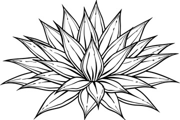 agave wild flower vector silhouette illustration
