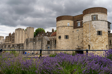 Tower