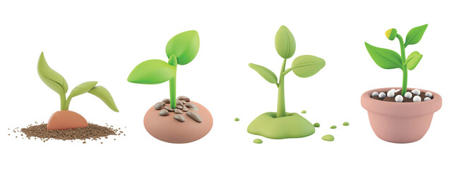 Various stages of plant growth, from seedling to young plant, isolated on a transparent background. 3D illustration of plant development for educational, gardening concepts. Botany growth