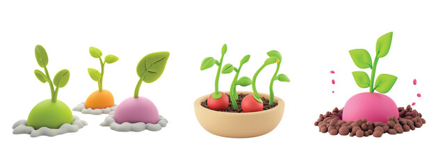 Various stages of plant growth, seedling to young plant, isolated on a transparent background. 3D illustration plant development for educational, gardening concepts. Botany and growth