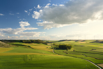 a view of a beautiful country landscape of green fields and trees
