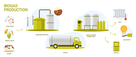 Biogas, bio energy production in industrial infographic scheme with process stages. Biomass of organic food and livestock waste processed into biofuel, electricity and heat cartoon vector illustration