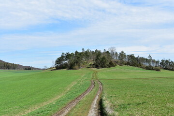 Hiking in the mountain landscape of northern Hesse