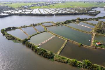 Aerial view of farmlands in Thu Bon river delta on sunny day. Hoi An, Vietnam.