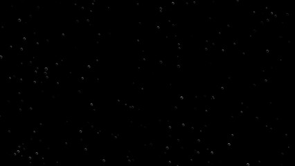 Floating of air bubbles on black background