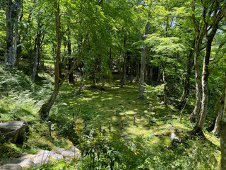 滋賀県　百済寺の風景