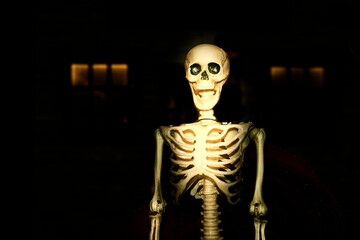 Pale yellow poisonous halloween skeleton in dark black room