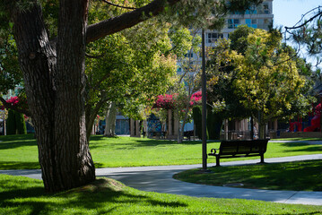 Bench under a green tree in a park in Los Angeles on a sunny day