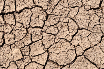 Close-up of a dried cracked soil