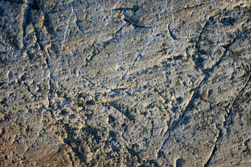Coast at the Staberhuk lighthouse, Fehmarn Island on the Baltic Sea, Germany