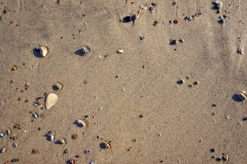 Scenic view of the beach on the Staberhuk cliffs, near the radar station, Fehmarn Island