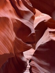 Antelope Canyon with rocks and sparse vegetation in Arizona