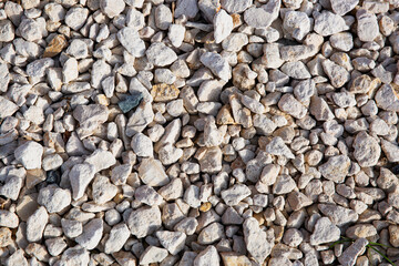 Rocky beach scene under sunlight
