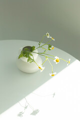 Ceramic vases with white chamomiles. Summer mood. Greeting card, copy space.