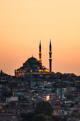 Magic of Istanbul with many mosques.