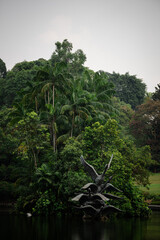 Obraz premium Scenic view of Swan Lake in Singapore.