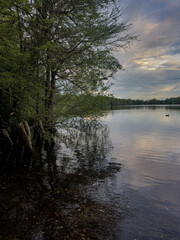 Man rows a small boat on a river