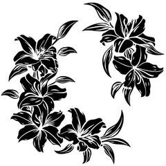 lily silhouette, lily svg, lily png, lily illustration, lily, silhouette flower, floral svg, herb svg, flower illustration, flower, floral, vector, nature, illustration, spring, design, pattern, summe