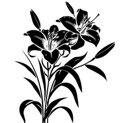 lily silhouette, lily svg, lily png, lily illustration, lily, silhouette flower, floral svg, herb svg, flower illustration, flower, floral, vector, nature, illustration, spring, design, pattern, summe