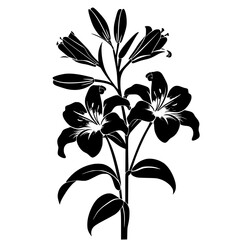 lily silhouette, lily svg, lily png, lily illustration, lily, silhouette flower, floral svg, herb svg, flower illustration, flower, floral, vector, nature, illustration, spring, design, pattern, summe