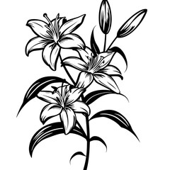 lily silhouette, lily svg, lily png, lily illustration, lily, silhouette flower, floral svg, herb svg, flower illustration, flower, floral, vector, nature, illustration, spring, design, pattern, summe