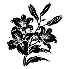 lily silhouette, lily svg, lily png, lily illustration, lily, silhouette flower, floral svg, herb svg, flower illustration, flower, floral, vector, nature, illustration, spring, design, pattern, summe