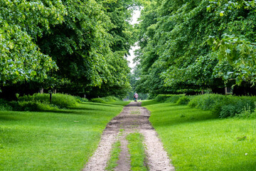 path in the park