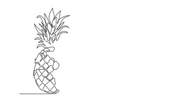 Animated self drawing continuous line draw whole and sliced healthy pineapple organic for orchard logo identity. Fresh summer fruitage concept for fruit garden icon. Full length single line animation