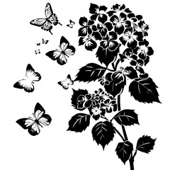 Hydrangea silhouette, Hydrangea svg, Hydrangea png, Hydrangea illustration, Hydrangea, silhouette flower, floral svg, herb svg, flower illustration, flower, floral, vector, nature, illustration, sprin