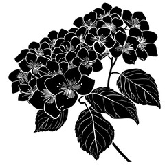 Hydrangea silhouette, Hydrangea svg, Hydrangea png, Hydrangea illustration, Hydrangea, silhouette flower, floral svg, herb svg, flower illustration, flower, floral, vector, nature, illustration, sprin