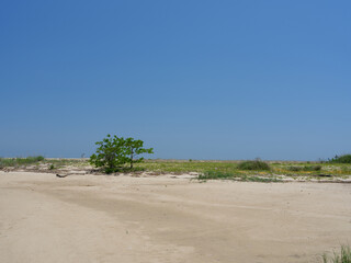 四日市工場【工場のそばにある砂浜】