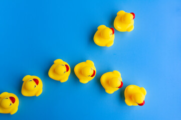 Top view of rubber duck going in different direction. Leadership concept