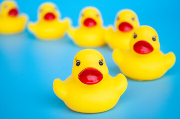 Close up of rubber duck leading other rubber ducks. Leadership and followers concept